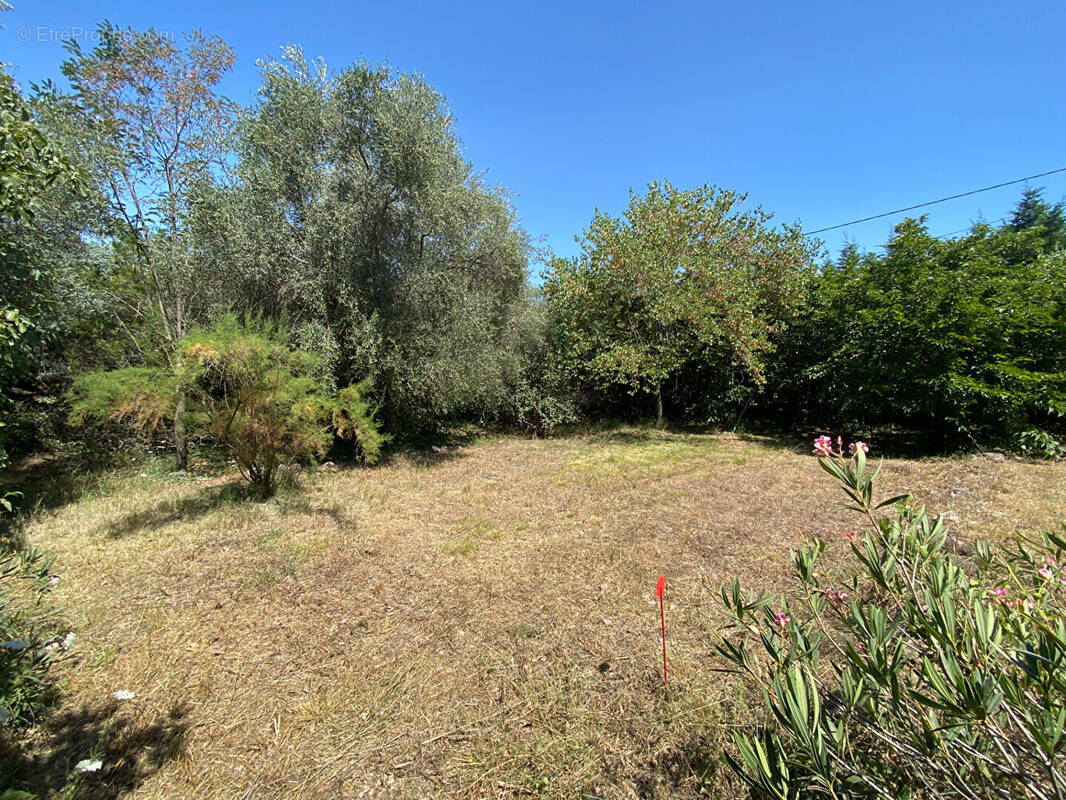 Terrain à GRASSE