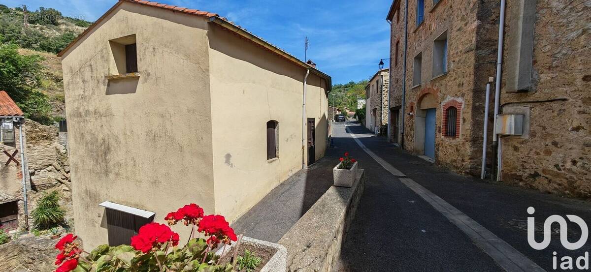 Photo 1 - Maison à CARAMANY