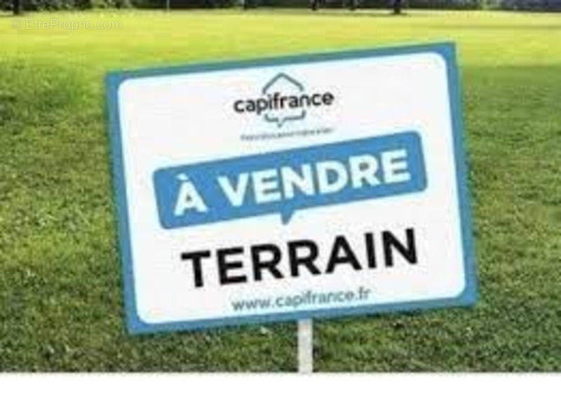 Terrain à SEGONZAC