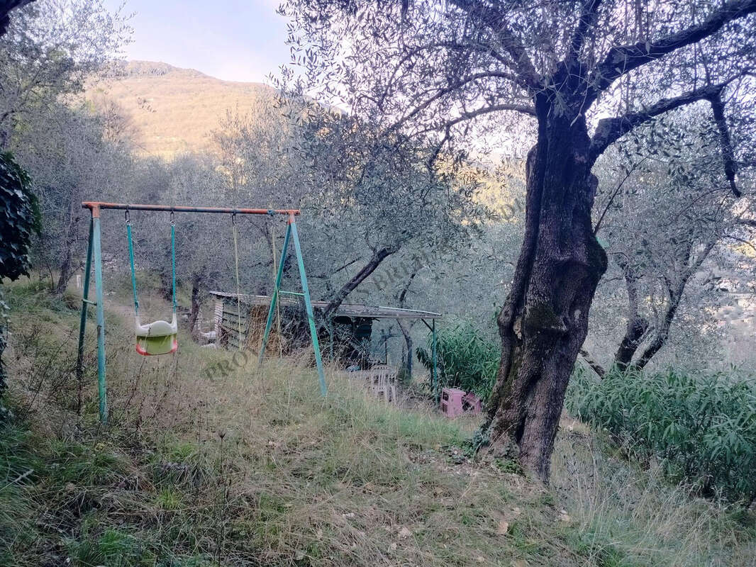 Terrain à BREIL-SUR-ROYA