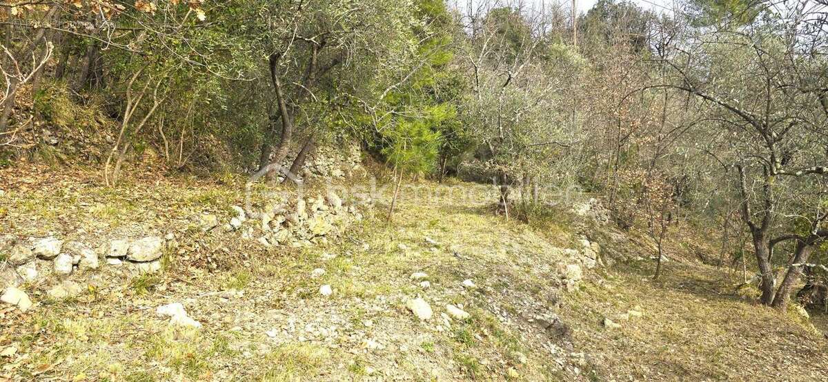 Terrain à PIERREFEU
