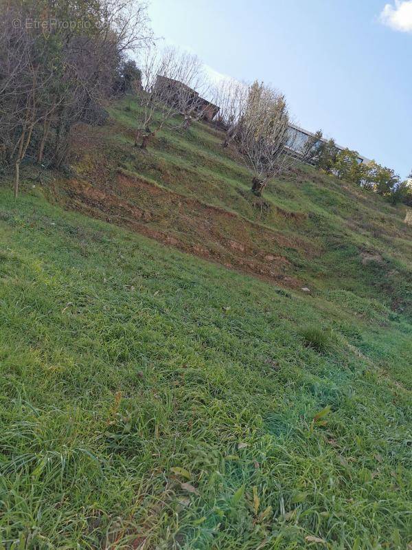 Terrain à SAINT-PAUL