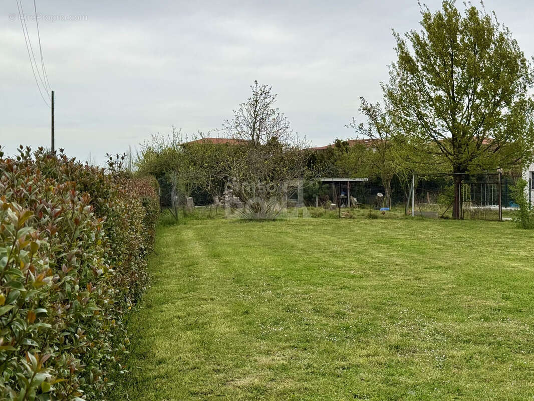 Terrain à PLAISANCE-DU-TOUCH