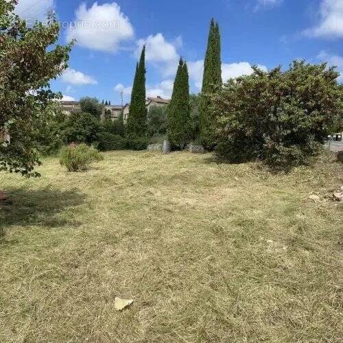 Terrain à GRASSE