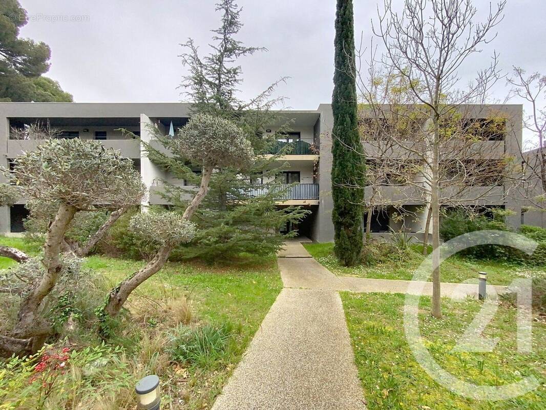 Photo 1 - Appartement à MONTPELLIER