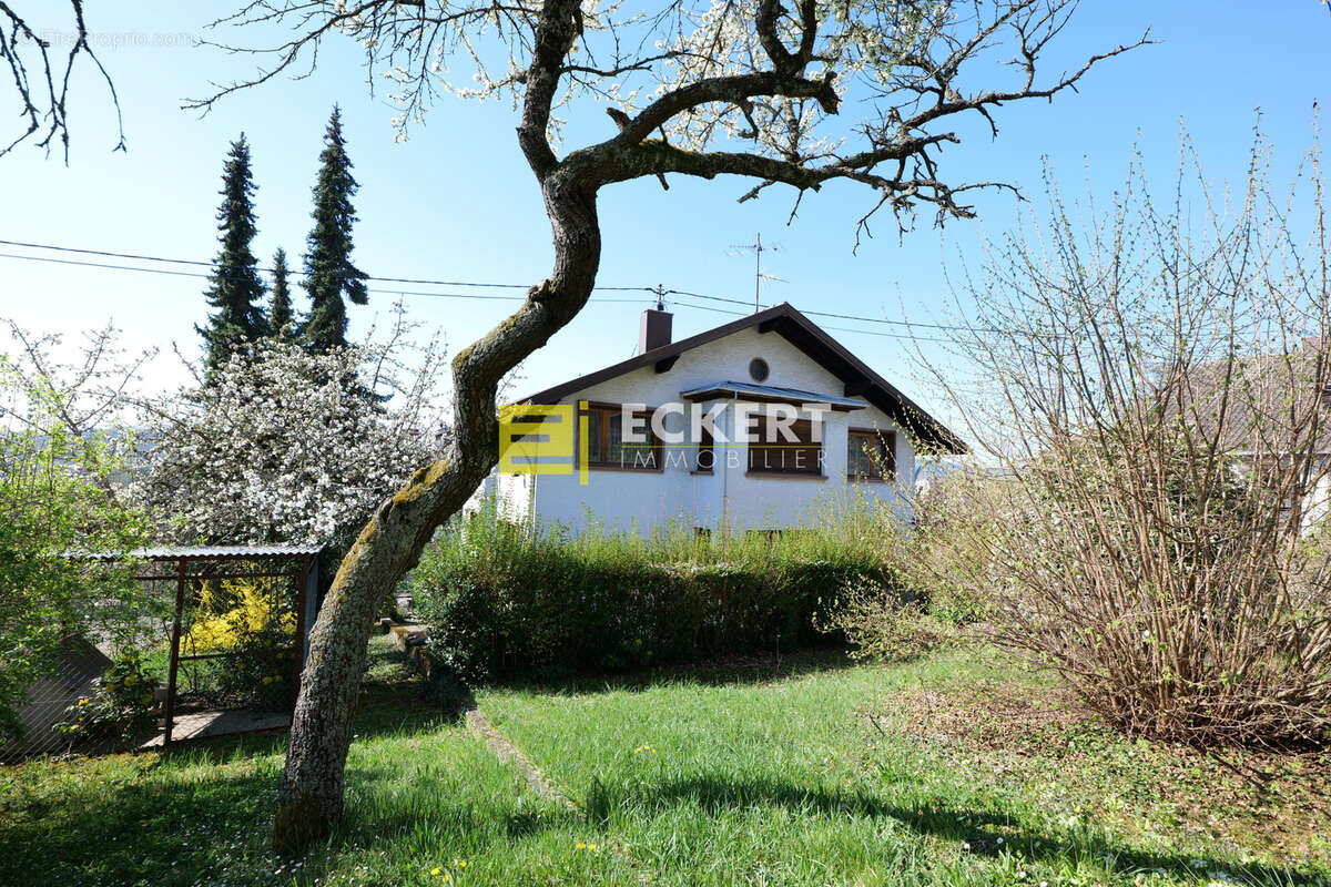 Maison à MUTZIG