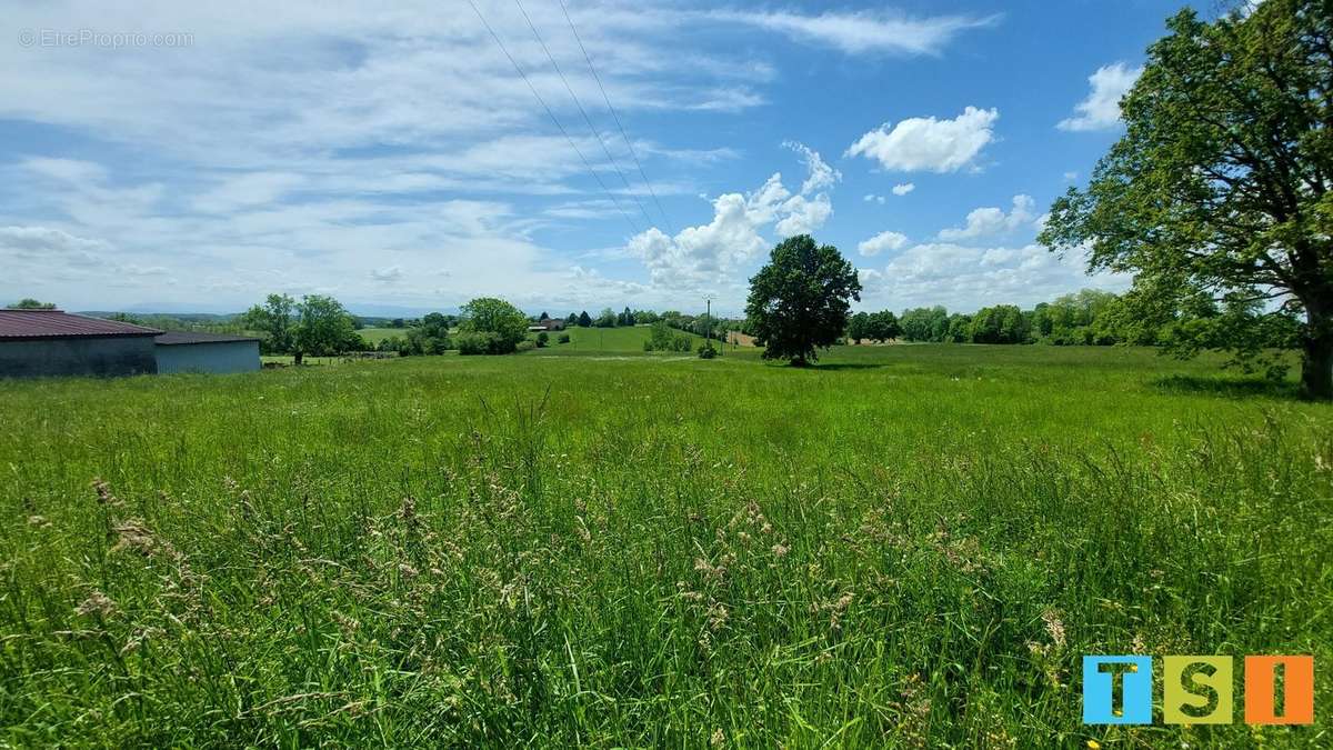 Terrain à CIADOUX