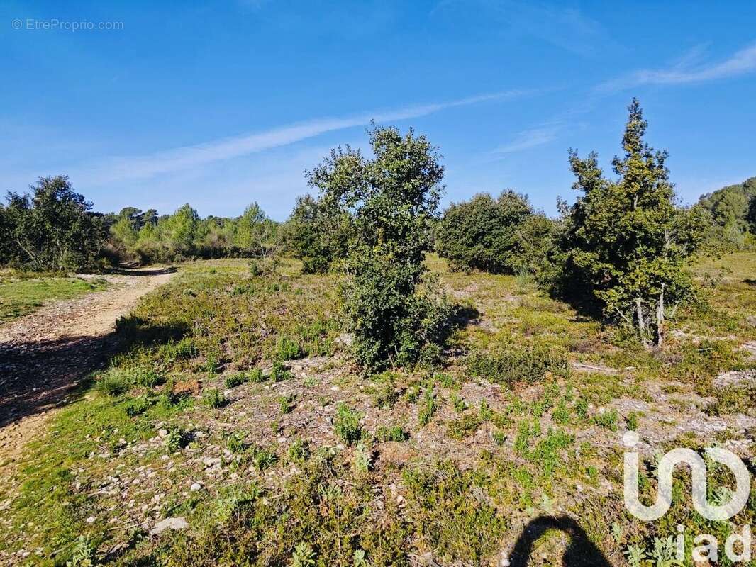 Photo 6 - Terrain à LE CASTELLET