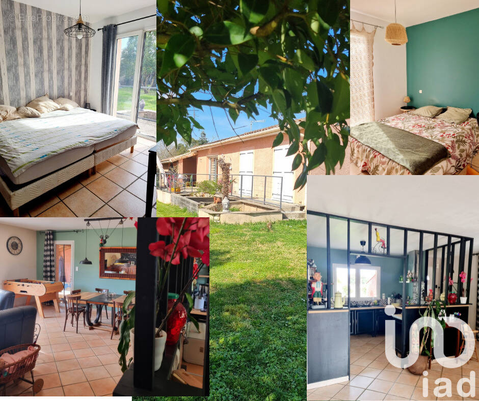 Photo 1 - Maison à ALBI