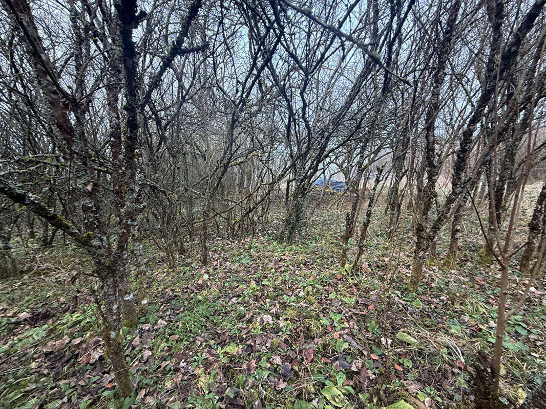 Terrain à EINVAUX