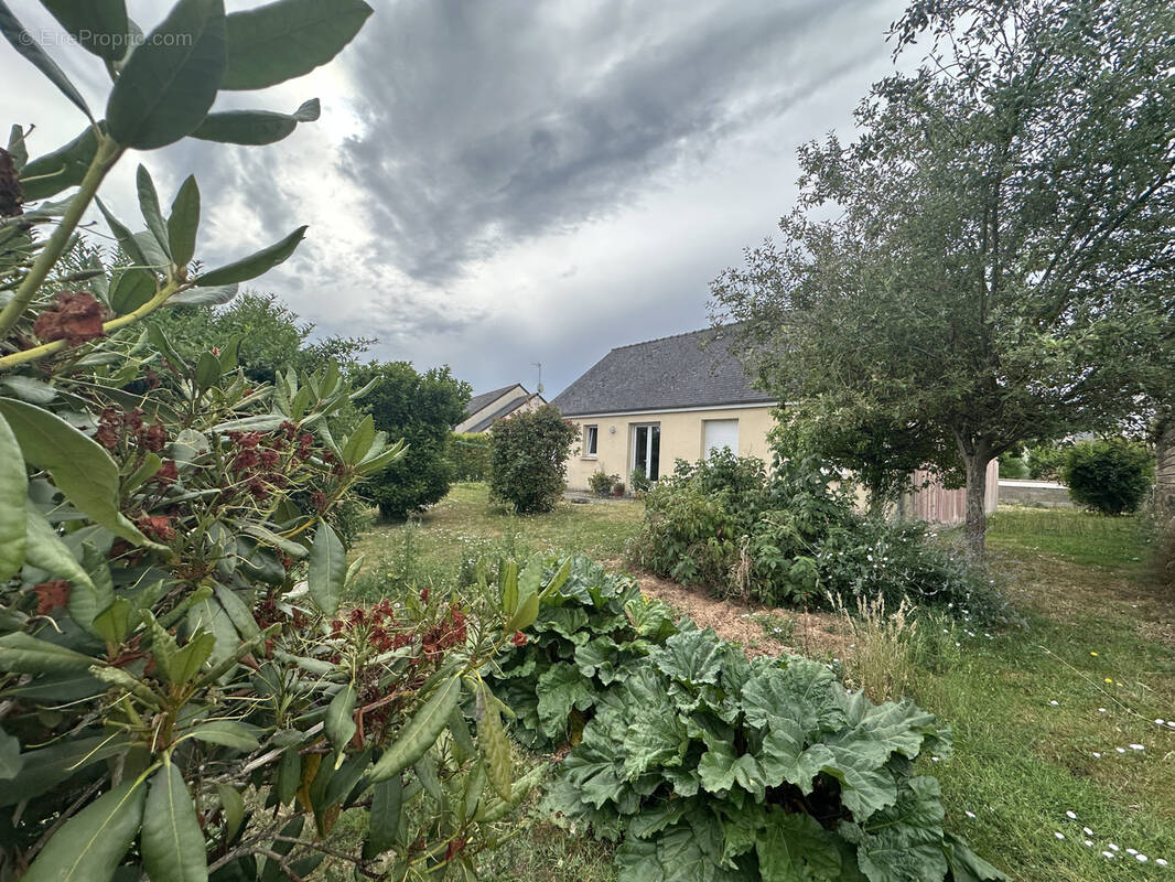 Maison à SEGRE