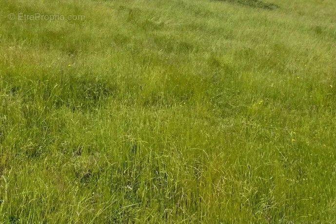 Terrain à FLEURE