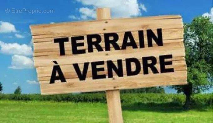 Terrain à NOE