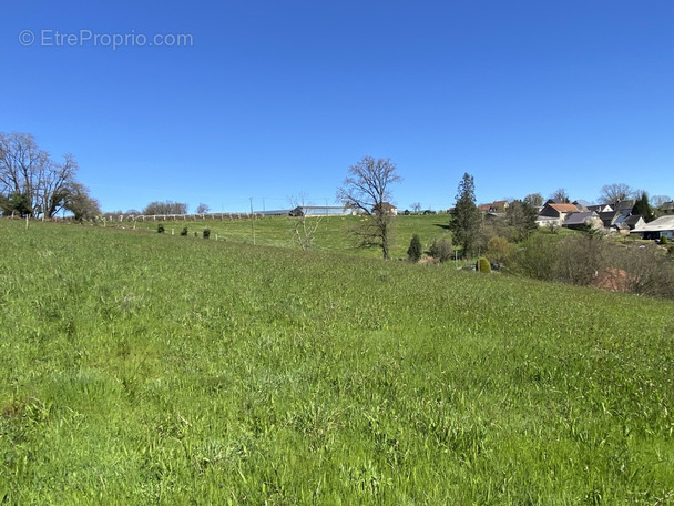 Terrain à CHABRIGNAC