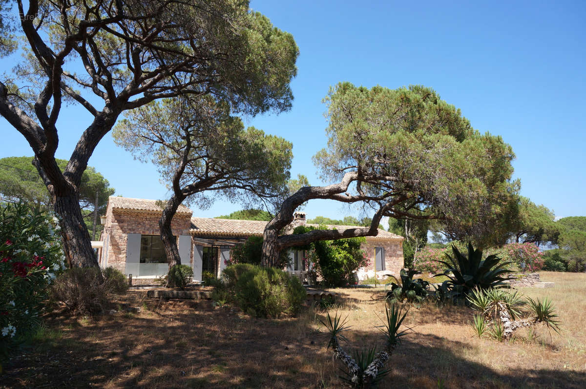 Maison à PUGET-SUR-ARGENS
