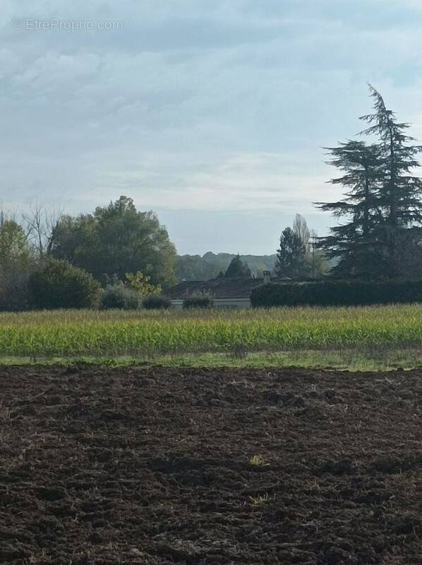 Terrain à TROIS-PALIS