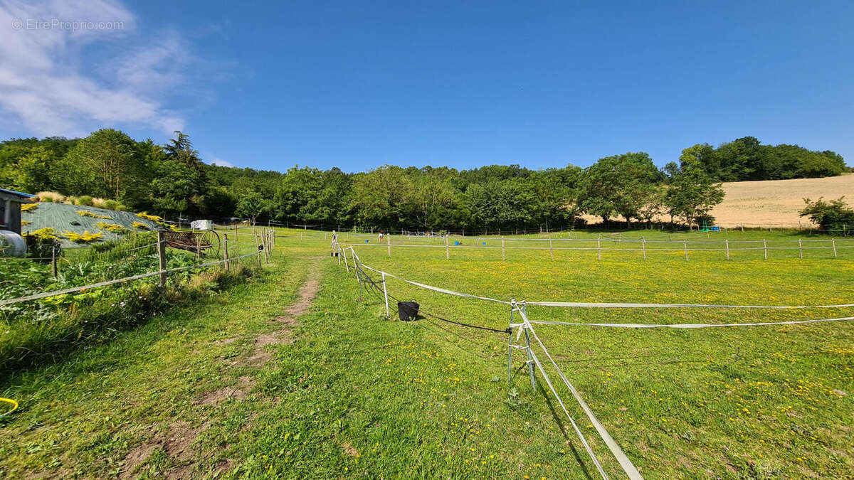 Charente country house with pool for sale . maison - Maison à AUBETERRE-SUR-DRONNE