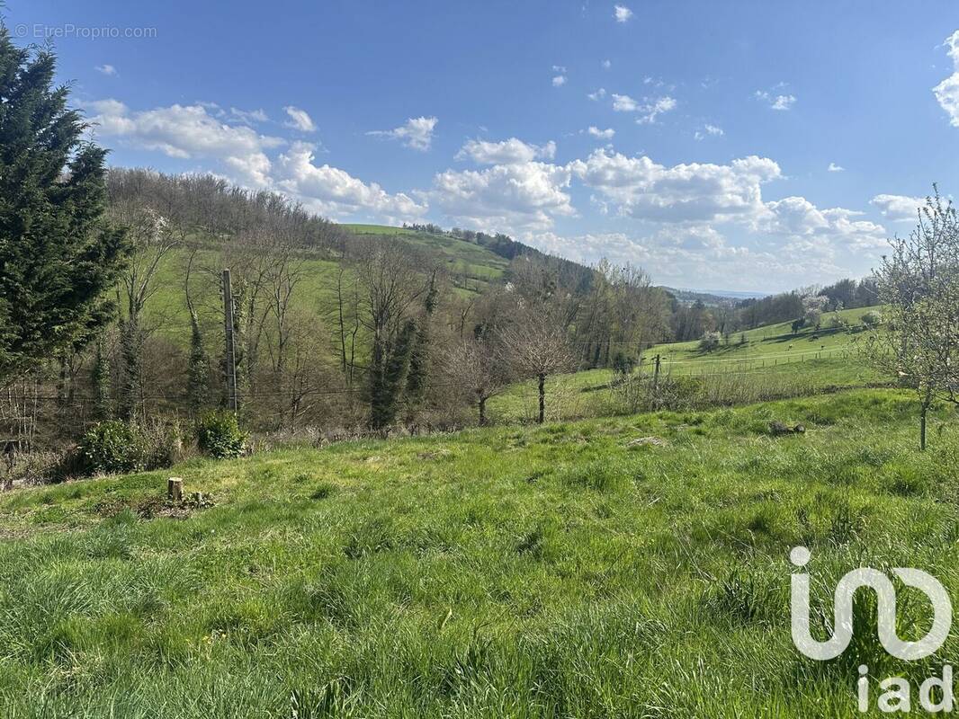 Photo 1 - Terrain à SAINT-GALMIER