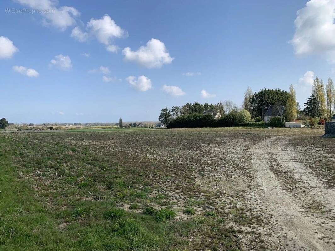 Terrain à LA BOUILLIE