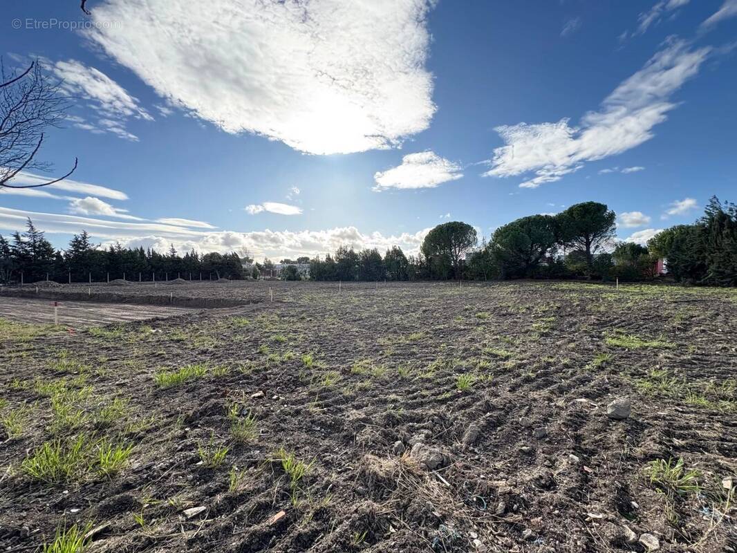 Terrain à LEZIGNAN-CORBIERES