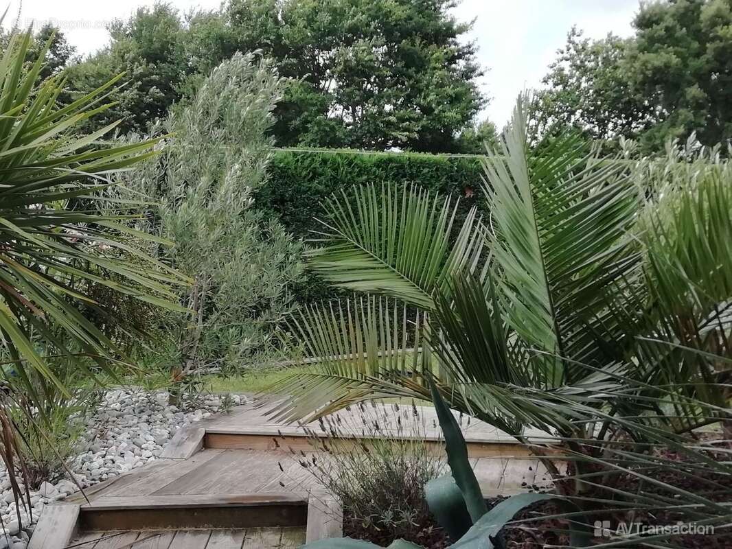 Maison à TOSSE