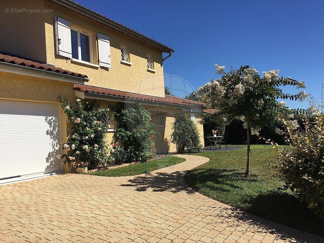 Maison à MONTMERLE-SUR-SAONE