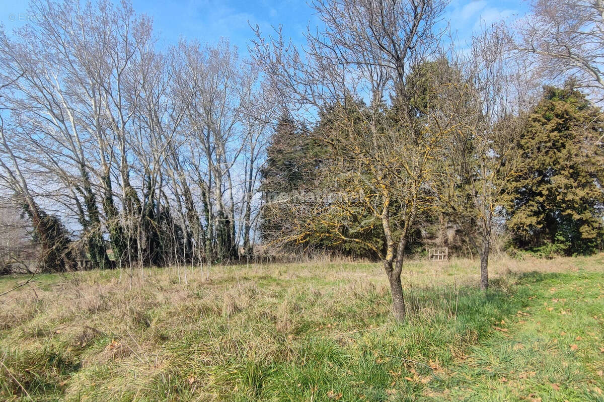 Terrain à MONTEUX