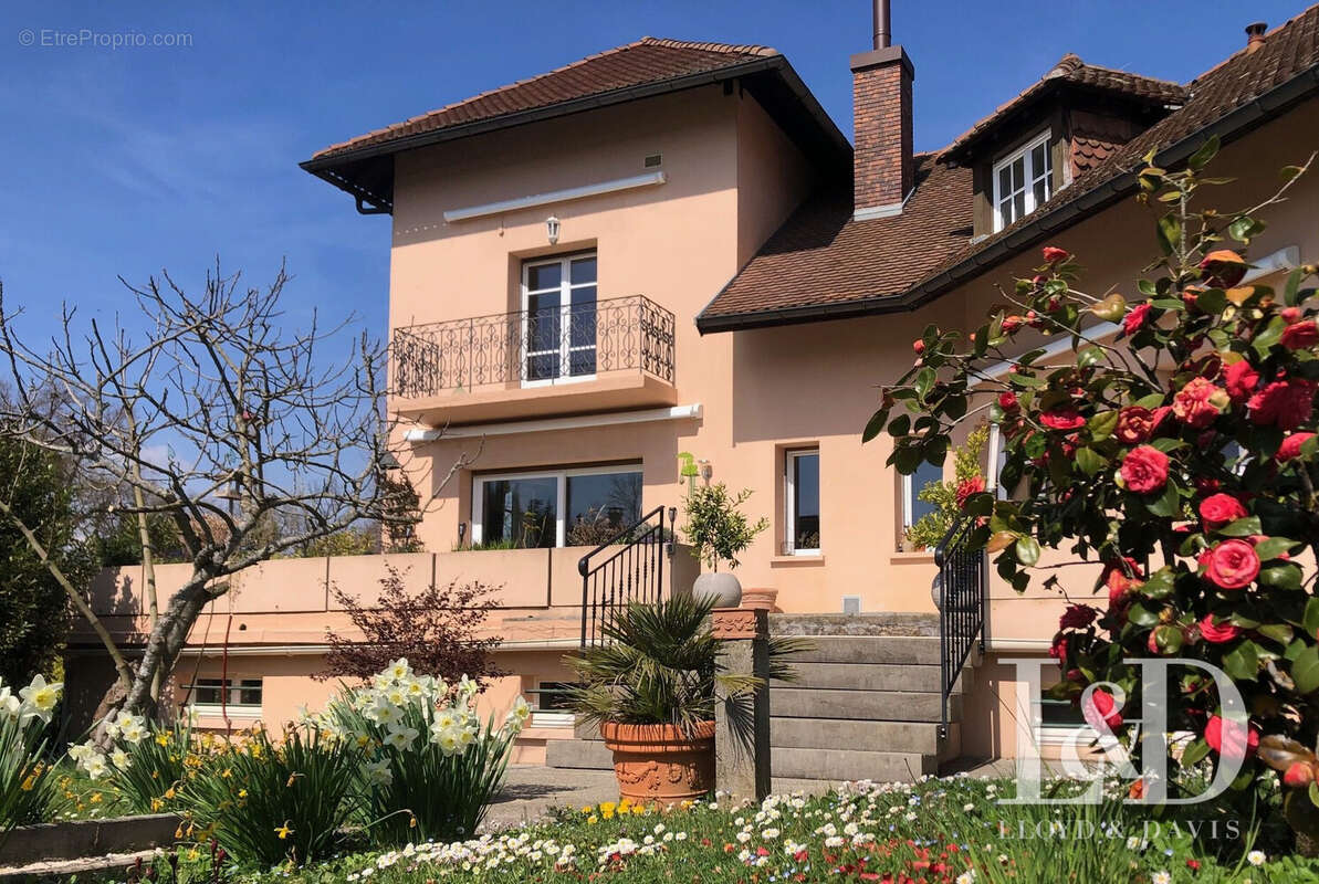 Maison à ALBENS