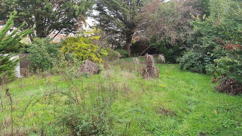 Terrain à BORDEAUX