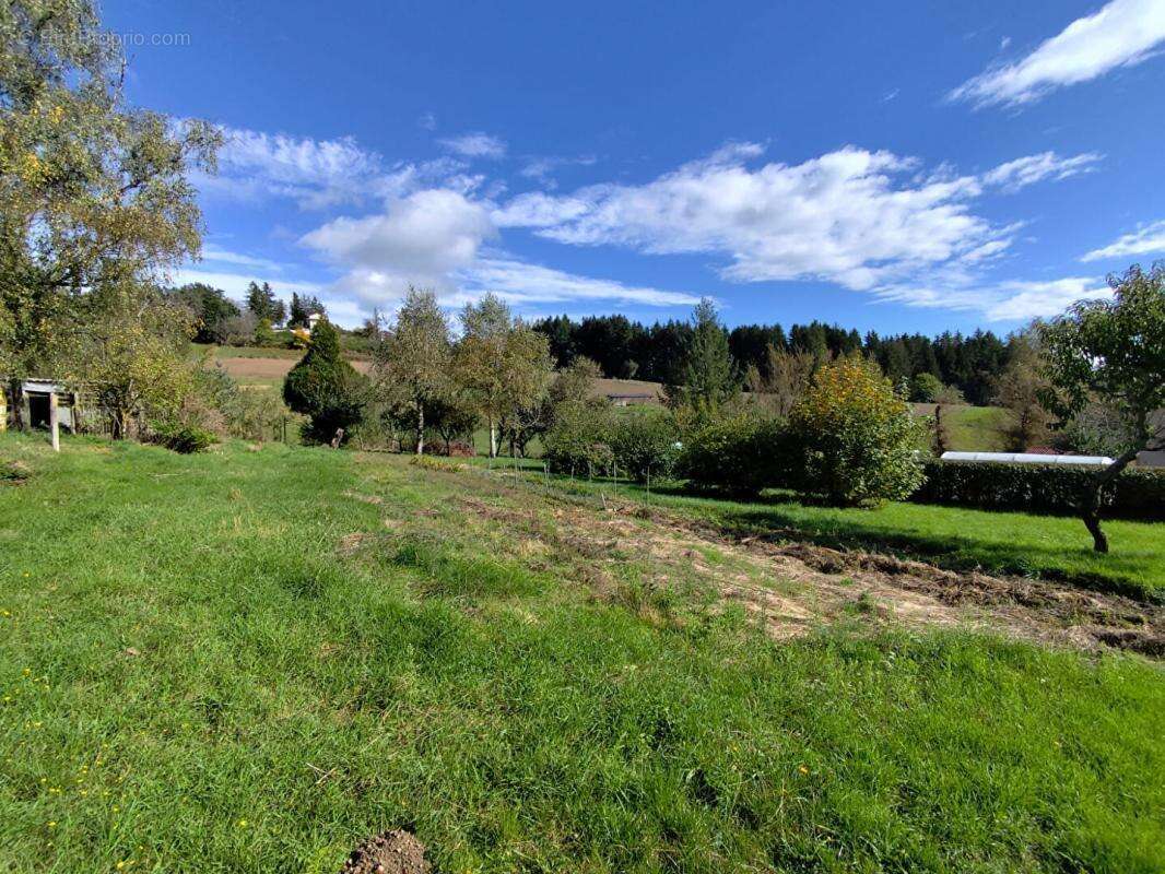 Terrain à LA SEAUVE-SUR-SEMENE