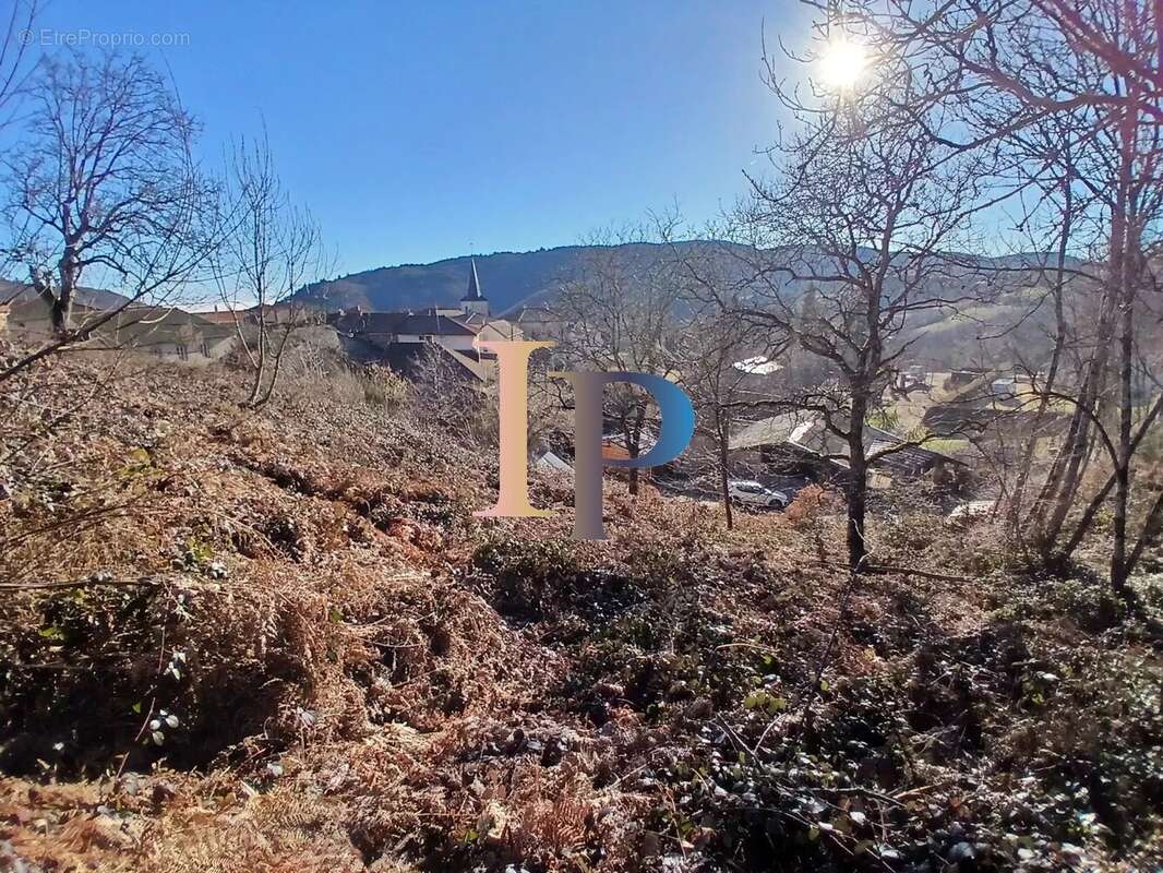 Terrain à RENAISON