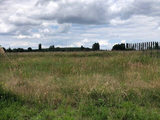 Terrain à HUISSEAU-SUR-COSSON