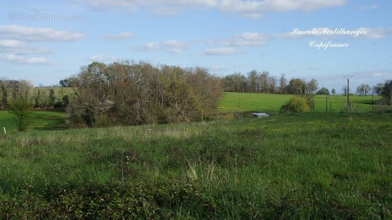 Terrain à ARZACQ-ARRAZIGUET