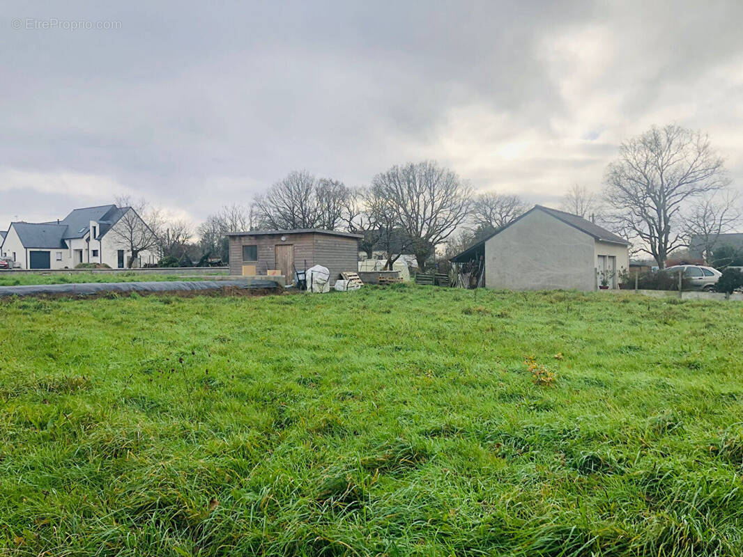 Terrain à LA CHAPELLE-DES-MARAIS