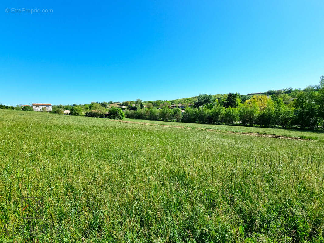 Terrain à CASTANET-TOLOSAN