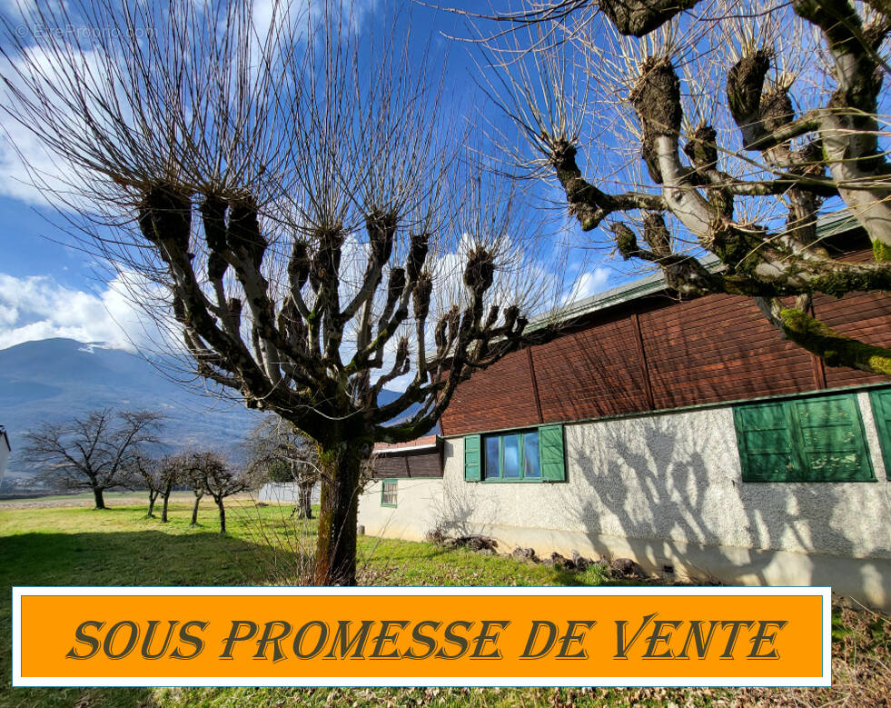 Maison à SAINT-PIERRE-D&#039;ALBIGNY