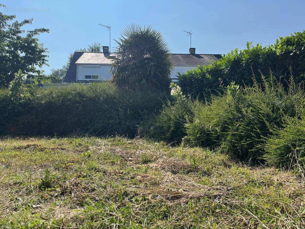 Terrain à HERIC