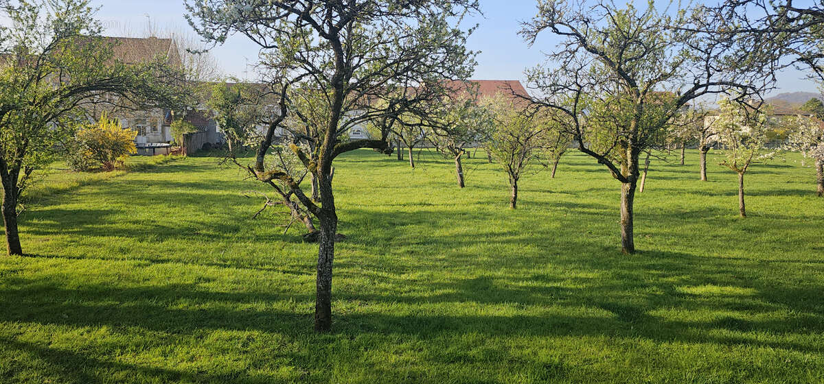 Terrain à VIGNEULLES-LES-HATTONCHATEL