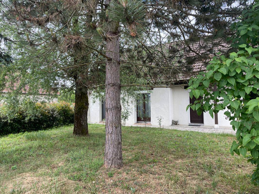 Maison à CHATILLON-SUR-LOIRE