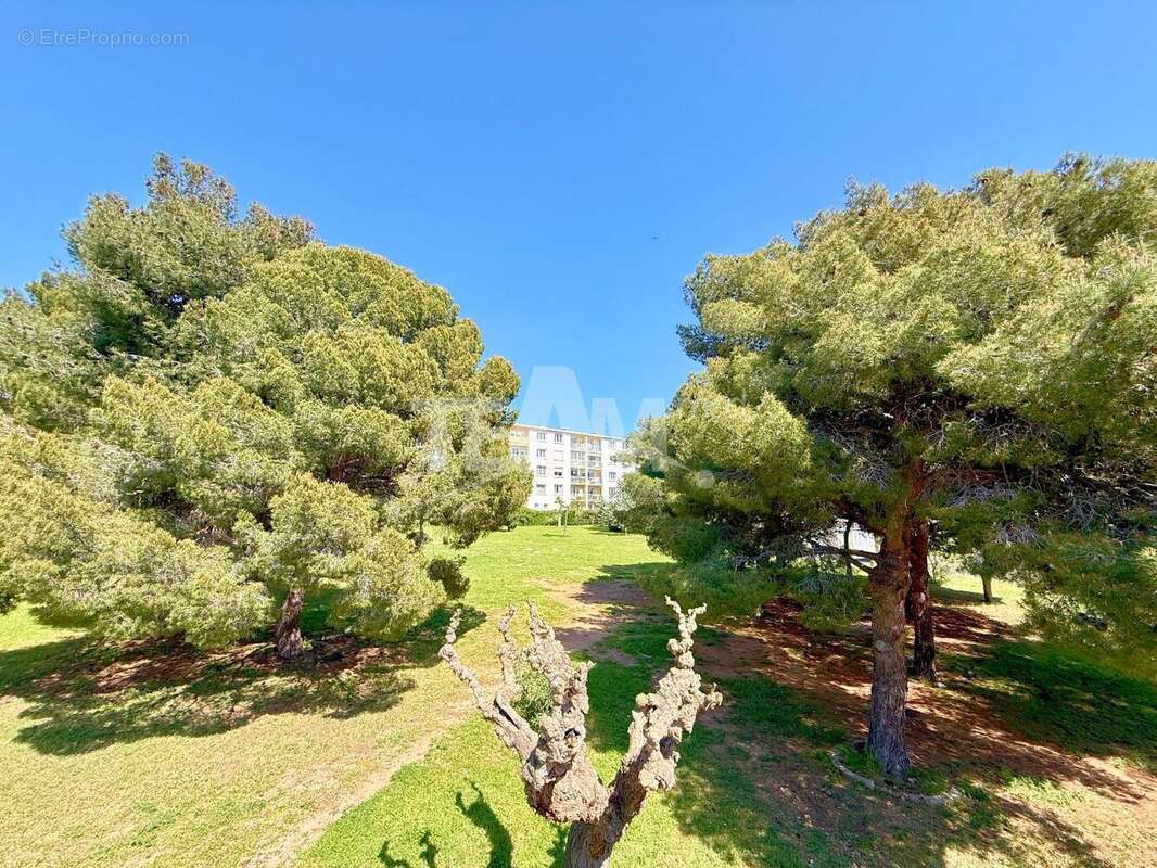 Appartement à SETE