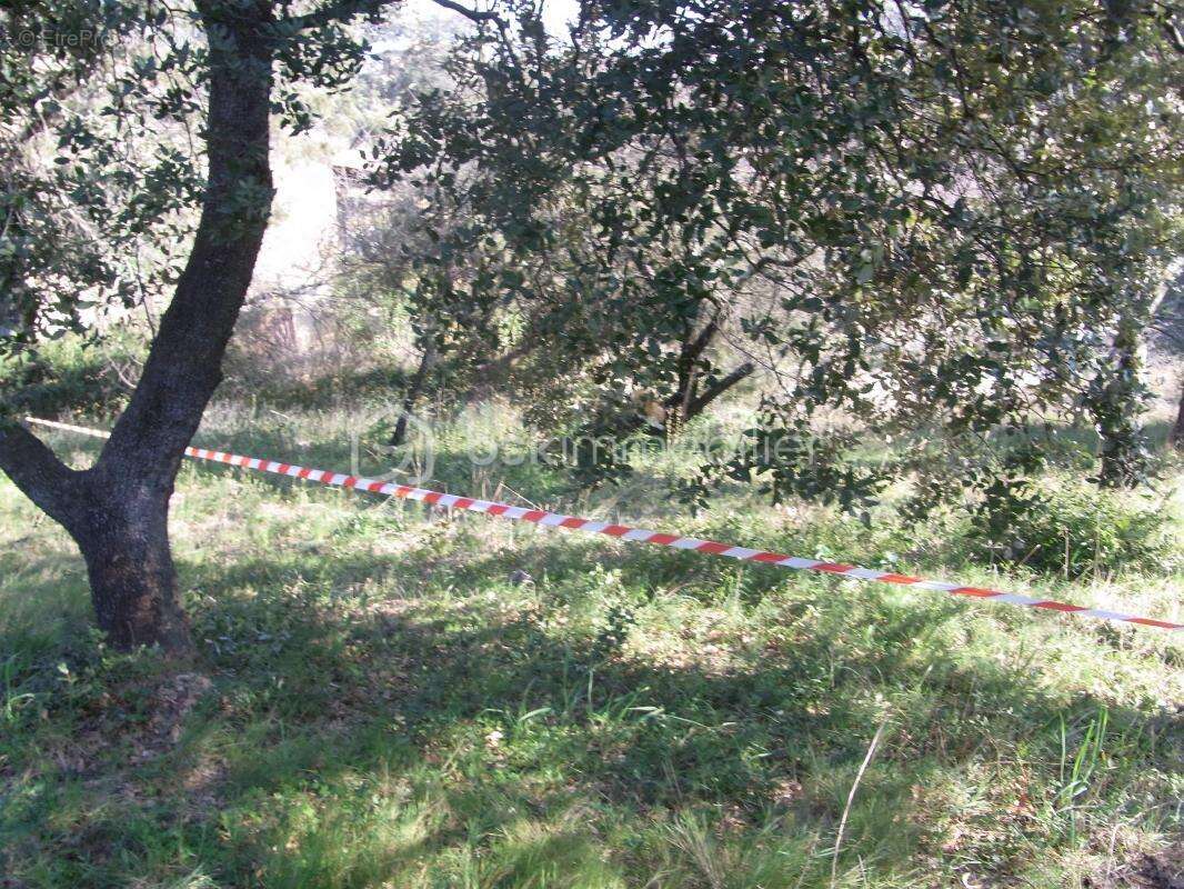 Terrain à CASTILLON-DU-GARD