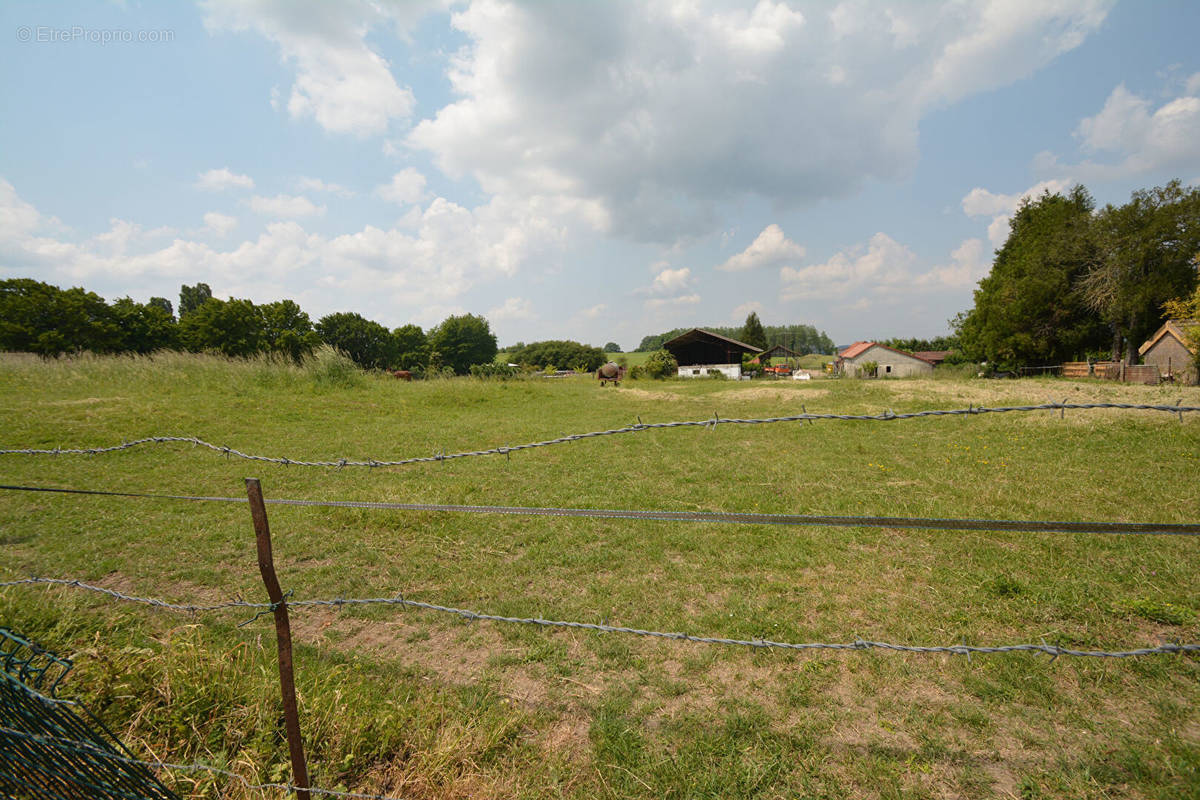 Terrain à AMIGNY-ROUY