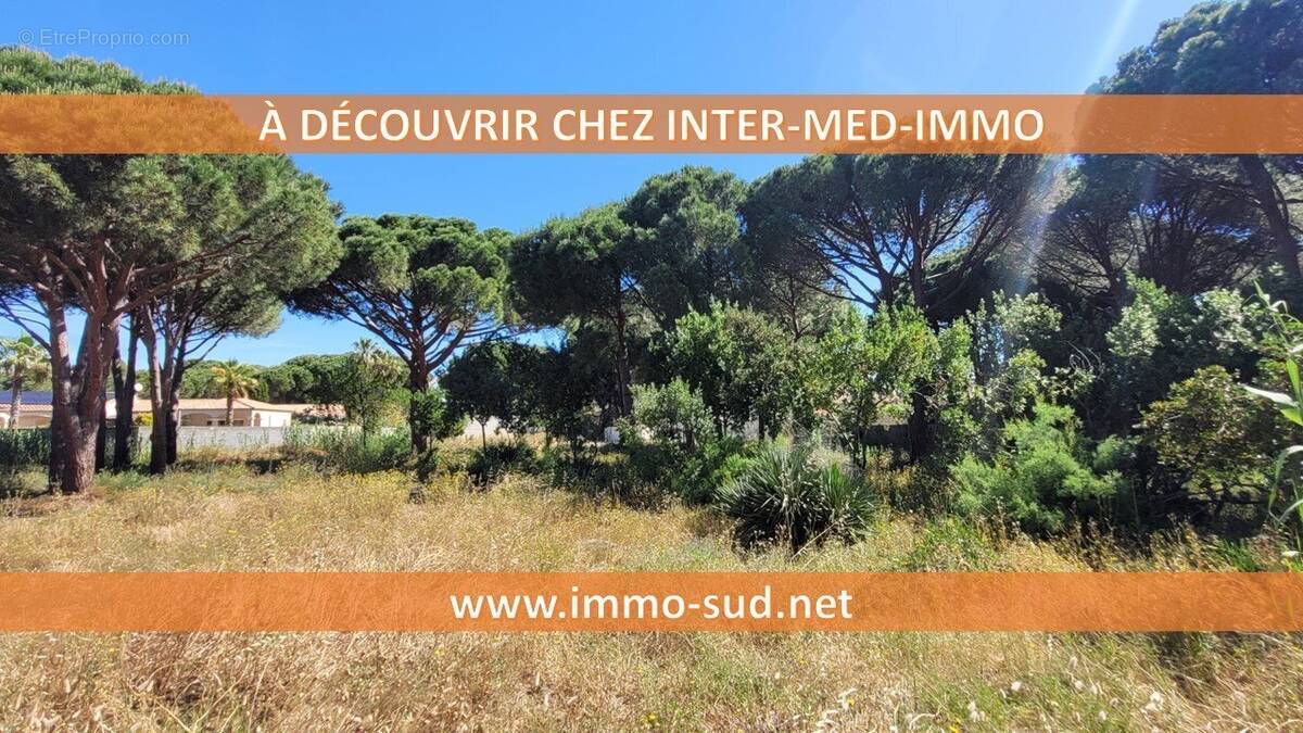 Terrain à AGDE