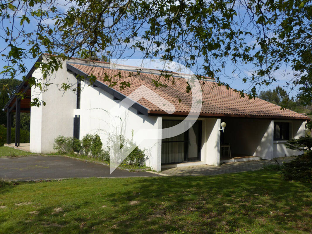 Maison à POUILLON