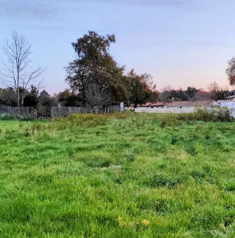 Terrain à CISSAC-MEDOC