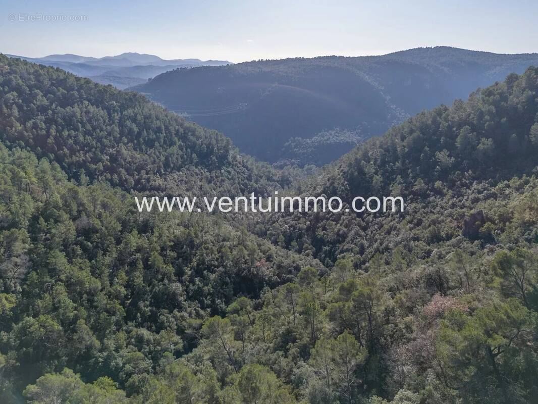 Terrain à SAINT-CEZAIRE-SUR-SIAGNE
