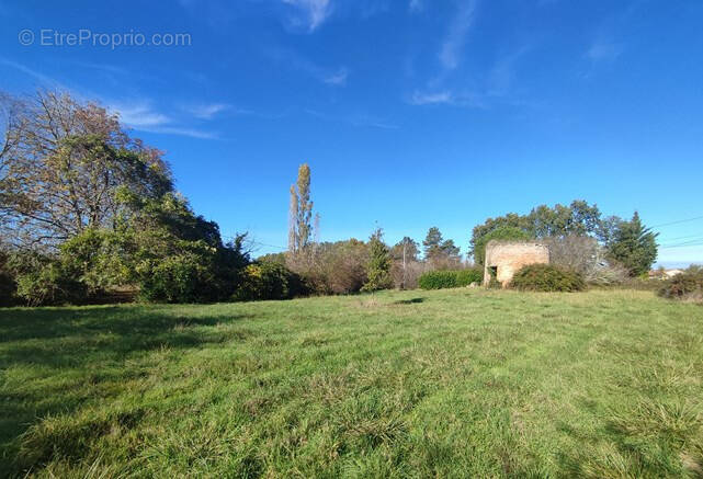Terrain à MONCLAR-DE-QUERCY