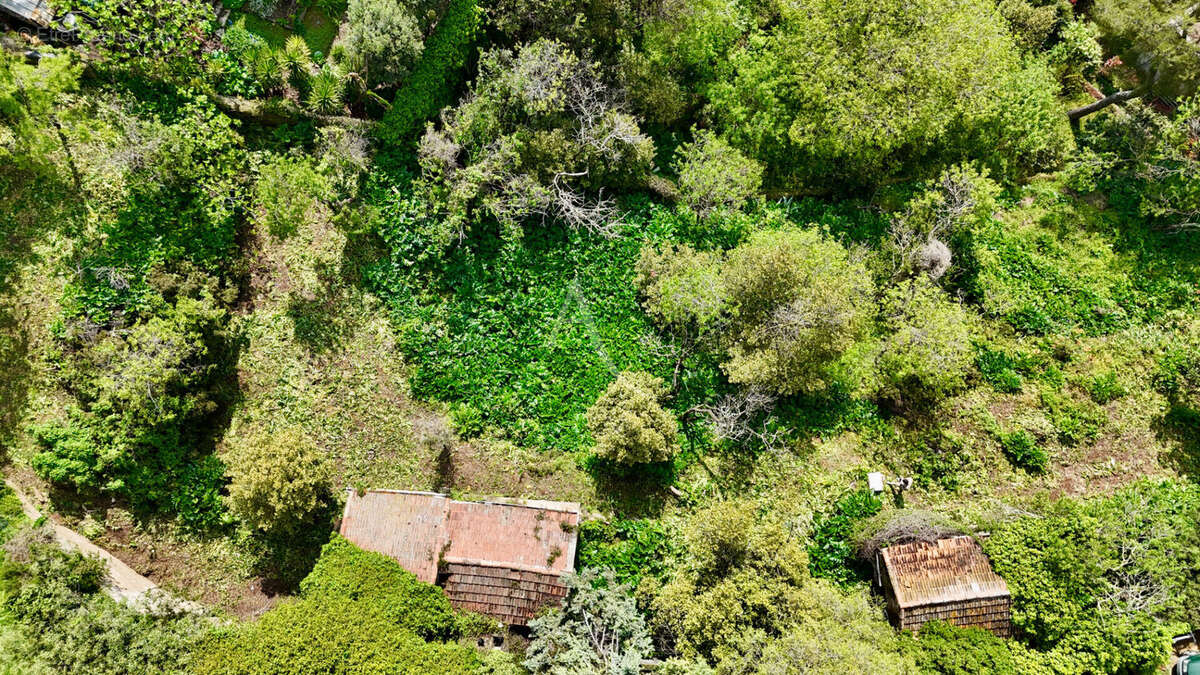 Terrain à SETE