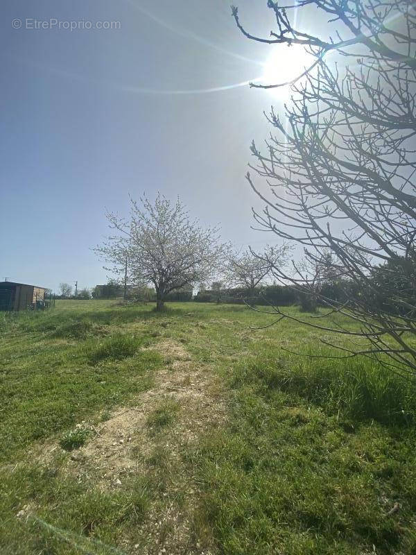 Terrain à ANTRAN