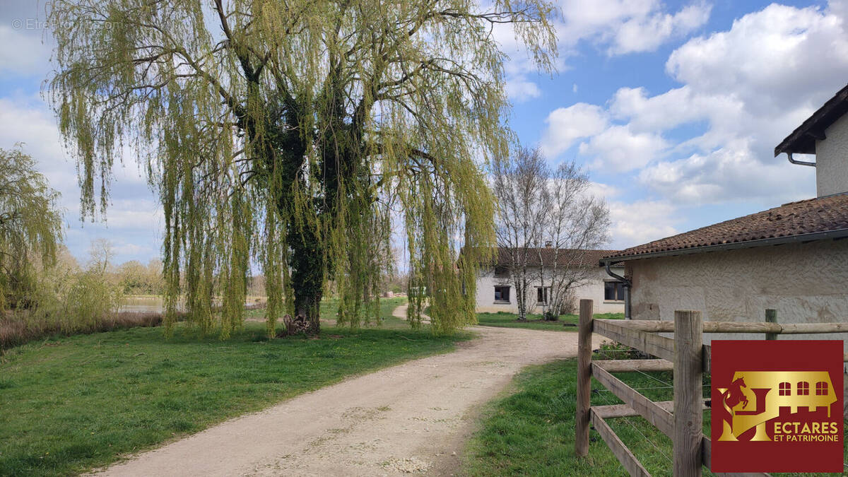 Maison à CHATILLON-SUR-CHALARONNE